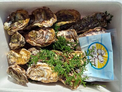 冷蔵 牡蠣 28個 空コース 加熱用 ［SLFM_005］