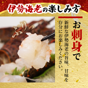 【伊勢海老】 訳あり 伊勢海老 500g むき身 冷凍