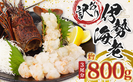 伊勢海老 800g 訳あり むき身 冷凍 【伊勢えび エビ】