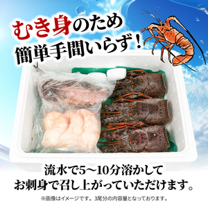 【伊勢海老】 1kg 3~5尾 冷凍 むき身 イセエビ イセエビ