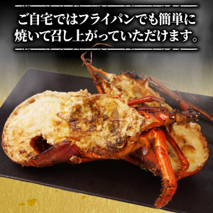 伊勢海老 800g 冷凍 ハーフカット 伊勢海老