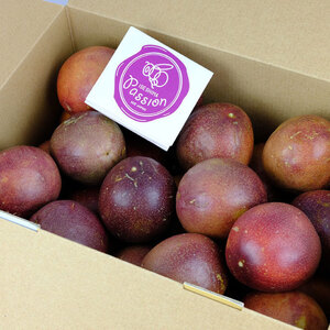 【2026年発送分 先行受付】 パッションフルーツ 約2kg 【 土実樹農園 】