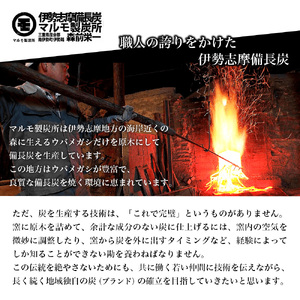 【先行受付 2026年3月以降発送】 MRMS_021 木炭白炭 約3kg 1箱（バーベキュー）