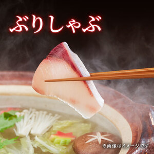 【ぶり】 ぶり切り身 1kg 【2026年4月発送】