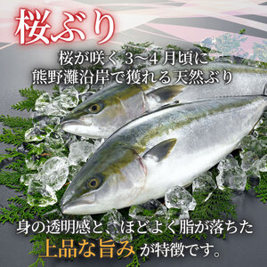 ぶり 切り落とし 約440g (220g×2パック) 【2026年3月下旬以降発送】 