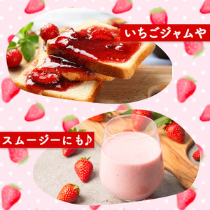 苺 【2月以降発送】 250g×4P 1kg かおり野 苺