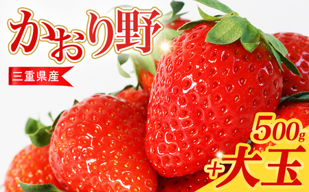 【2月以降発送】 大粒いちご 250g×2P 大粒6～8個 DXパック かおり野