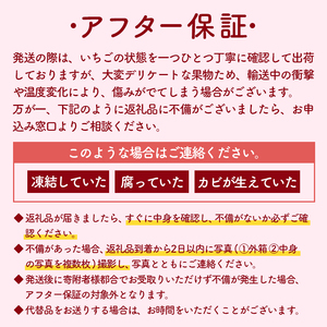 【2月以降発送】 大粒いちご 250g×2P 大粒6～8個 DXパック かおり野