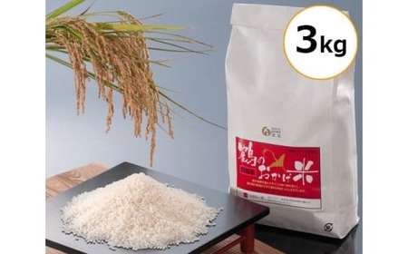 【3回定期便】 こしひかり 3kg × 3か月 三重県産 コシヒカリ [ブランド米]