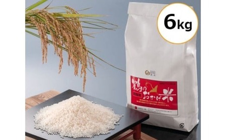 【3回定期便】 こしひかり 6kg × 3か月 三重県産 コシヒカリ [ブランド米]