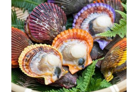 冷凍 アッパッパ貝 3個入り 3袋 貝 ヒオウギ あっぱっぱ 海鮮 海の幸 南伊勢町 伊勢志摩 三重県南伊勢町 ふるさと納税サイト ふるなび 冷凍 アッパッパ貝 3個入り 3袋 貝 ヒオウギ あっぱっぱ 海鮮 海の幸 南伊勢町 伊勢志摩 三重県南伊勢町 ふるさと納税サイト ふるなび