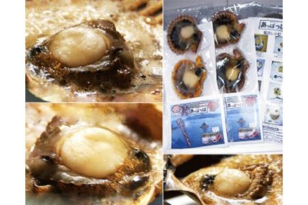 冷凍 アッパッパ貝 3個入り 3袋 貝 ヒオウギ あっぱっぱ 海鮮 海の幸 南伊勢町 伊勢志摩 三重県南伊勢町 ふるさと納税サイト ふるなび 冷凍 アッパッパ貝 3個入り 3袋 貝 ヒオウギ あっぱっぱ 海鮮 海の幸 南伊勢町 伊勢志摩 三重県南伊勢町 ふるさと納税サイト ふるなび