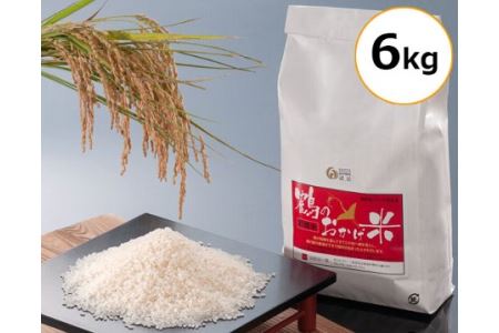 【令和7年産こしひかり】 新米 6kg こしひかり ないぜしぜん村