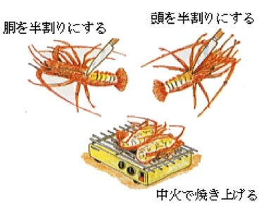 活き 伊勢海老 Ａコース 1尾 約250～300g 山金商店 地物 伊勢 伊勢えび 高級 鮮魚 焼き物 汁物 海鮮 特産 海の幸 魚介 イセエビ 海老 えび 三重県 南伊勢町 伊勢志摩産 伊勢志摩