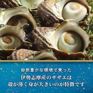 活きサザエ Bコース 2kg（16～24ヶ入り）山金商店 サザエ