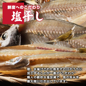 冷蔵 久屋のひもの 8種類 セット / ひもの