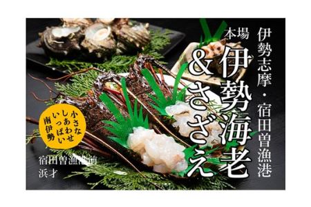 活伊勢海老 活さざえ A 伊勢えび イセエビ 壺焼 さざえ 海鮮 特産 三重県 南伊勢町 伊勢志摩 三重県南伊勢町 ふるさと納税サイト ふるなび