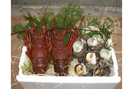 活伊勢海老 活さざえ A 伊勢えび イセエビ 壺焼 さざえ 海鮮 特産 三重県 南伊勢町 伊勢志摩 三重県南伊勢町 ふるさと納税サイト ふるなび