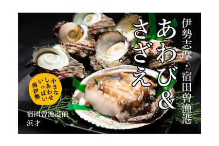 【冷蔵】活あわび&活さざえ(A)/アワビ 壺焼 さざえ 海鮮 海の幸 新鮮 三重県 南伊勢 伊勢志摩