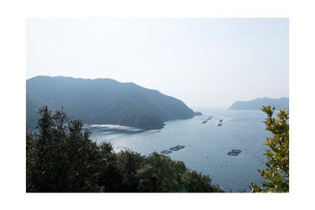 いにしえの牛肉 ロース 牛しゃぶ 約500g シャブシャブ用