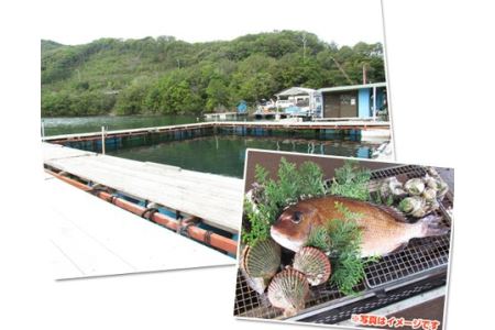 貸し切り 釣り堀 バーベキュー付 ペアチケット 大人2名分 1枚 釣り q 三重県 伊勢志摩 三重県南伊勢町 ふるさと納税サイト ふるなび