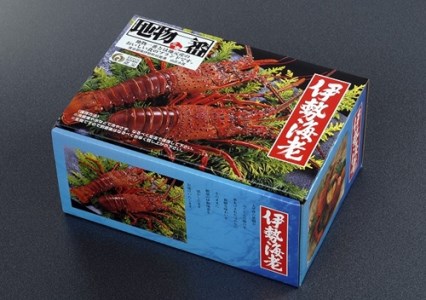 大伊勢海老（特大 601～800g）１尾 山庄水産／伊勢えび 三重県 南伊勢