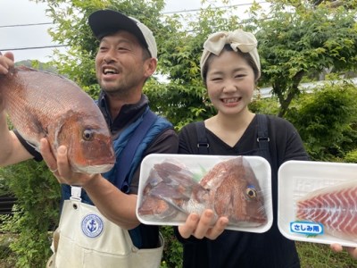 冷蔵 お炭付き鯛 養殖真鯛 活け締め ブランド たい 産直 新鮮 海鮮 三重県 伊勢志摩 三重県南伊勢町 ふるさと納税サイト ふるなび