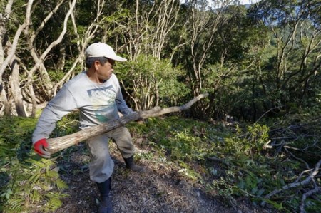 【先行受付 3月以降発送】 伊勢志摩 備長炭 半長大 約3kg アウトドア 炭 アウトドア
