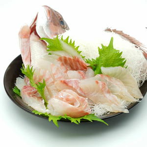 【 鯛 】 鯛まるごと 1匹 朝どれ 内蔵処理済み
