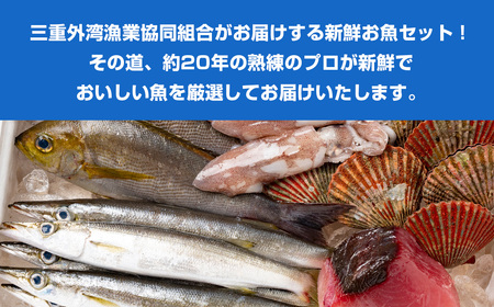 冷蔵 漁協直送 3~5種 朝獲れ鮮魚セット 鮮魚