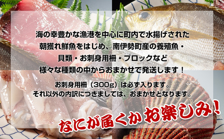 冷蔵 漁協直送 3~5種 朝獲れ鮮魚セット 鮮魚