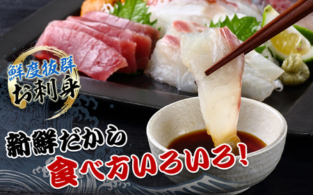 冷蔵 漁協直送 3~5種 朝獲れ鮮魚セット 鮮魚