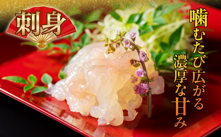 【 伊勢海老 】 活伊勢海老 約500g(2尾)  イセエビ