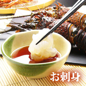 （冷凍） 伊勢海老 1尾 約 600g 活〆 山藤 えび 海老 ebi いせえび 伊勢えび 伊勢 魚 魚介 海鮮 海産物 海 特産品 うま味 旨味 海の幸 アウトドア BBQ 刺身 炭火焼 味噌汁 産地直送 国産 三重 南伊勢 伊勢志摩