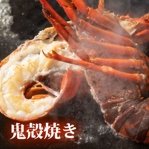 （冷凍） 伊勢海老 1尾 約 600g 活〆 山藤 えび 海老 ebi いせえび 伊勢えび 伊勢 魚 魚介 海鮮 海産物 海 特産品 うま味 旨味 海の幸 アウトドア BBQ 刺身 炭火焼 味噌汁 産地直送 国産 三重 南伊勢 伊勢志摩