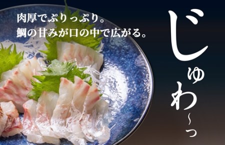 （定期便 ）（冷蔵）じゅわ～っと甘み溢れるブランド真鯛1～1.2kgを３回お届け！ 食べ比べ 皮あり スキンレス 4ヶ月に１回 ／ はさま あなたに逢い鯛。 鯛 真鯛 刺身 湯引き 南伊勢町 伊勢志摩