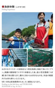 漁村で １泊 漁師 体験 セット ／友栄水産 宿泊 貸切 クルージング 魚さばき体験 三重県 南伊勢町