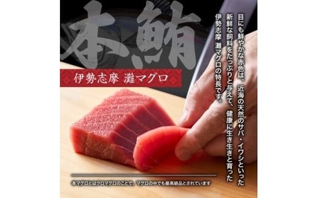 【 冷凍 】本マグロ 赤身 中トロ 計300g 伊勢志摩まぐろ食堂 【 本鮪 】