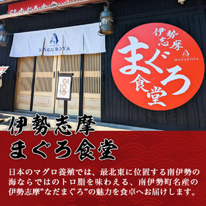 【 冷凍 】本マグロ 赤身 中トロ 計300g 伊勢志摩まぐろ食堂 【 本鮪 】