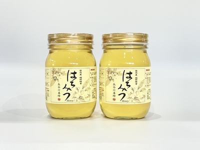 国産 はちみつ アカシア 500ｇ×2本入り セット ／ 長谷川養蜂 1kg 非加熱 瓶 希少 純粋はちみつ ハチミツ 蜂蜜 ハニー 三重県 南伊勢町  | 三重県南伊勢町 | ふるさと納税サイト「ふるなび」