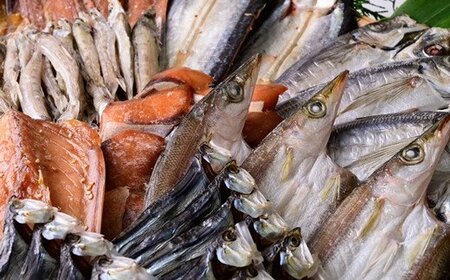 美味しいひものお届け便（年2回）【BB10】