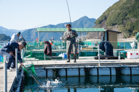 【P02】海上釣り堀貞丸の無料招待券