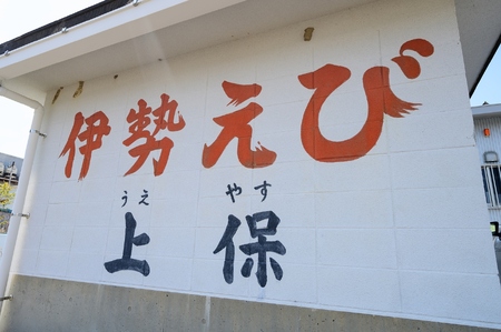 活冷伊勢えび 2~7尾(1.0kg)バタバタしたら角と足がとれちゃいました【CC21】