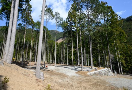 うぐいすの森キャンプ場 【宿泊利用券(割引券)】【DD13】