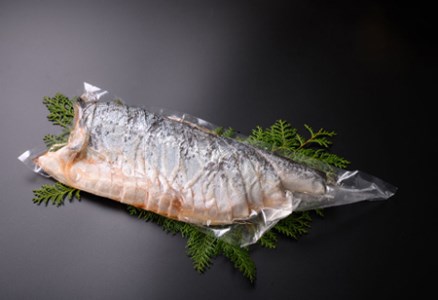 鮭問屋　熟成だし銀鮭切身〈約1.4kg〉【BB20】