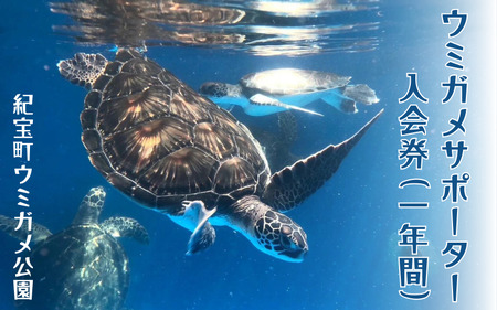 紀宝町ウミガメ公園 ウミガメサポーター（1年間） / ウミガメ