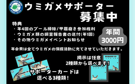 紀宝町ウミガメ公園 ウミガメサポーター(1年間) / ウミガメ サポーター ウミガメ公園 三重県 紀宝町 イベント 餌やり【rkr016】