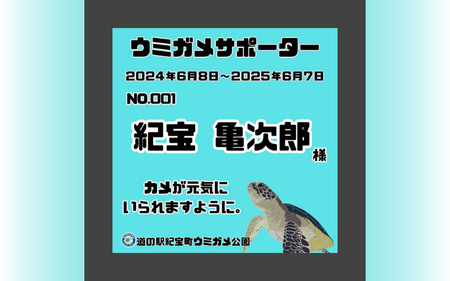紀宝町ウミガメ公園 ウミガメサポーター（1年間） / ウミガメ