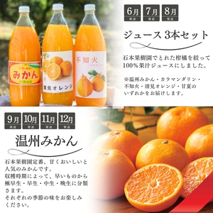 【全12回定期便】みかん 柑橘定期便 石本果樹園 みかん【tkb507】