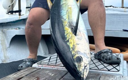 遊漁船「第八十八翔栄丸」 乗船利用クーポン 3000円分 / 釣り 海釣り 船釣り 釣り船 魚釣り フィッシング fishing 漁船 体験 チケット クーポン ジギング ジギング船 タイラバ トンジキ イカメタル アジング サビキ釣り イカ釣り キャスティング 三重県 紀宝町 【sem001】